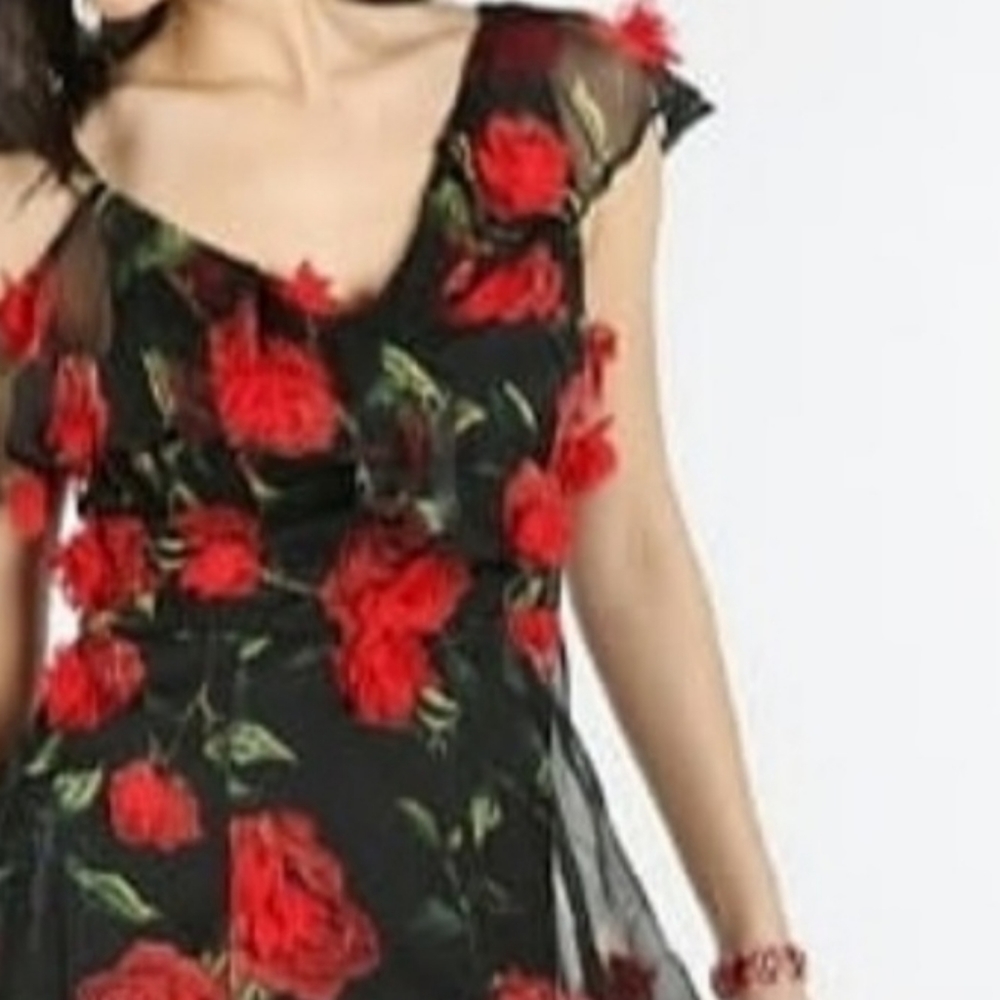 Delicate RED ROSE APPLIQUÉ MIDI - Picture 2 of 7